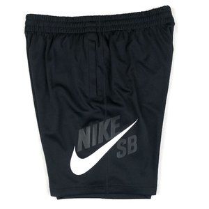 nike sb dri fit shorts